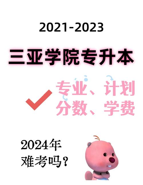 三亚理工职业学院会计电算化专升本有吗