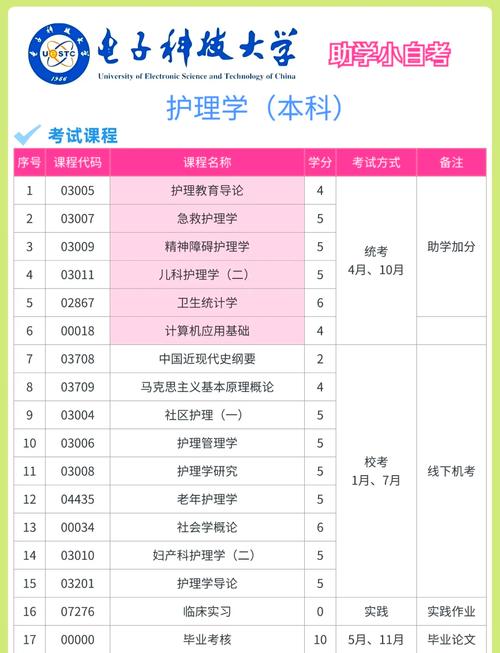 30岁女士提升学历学什么专业?