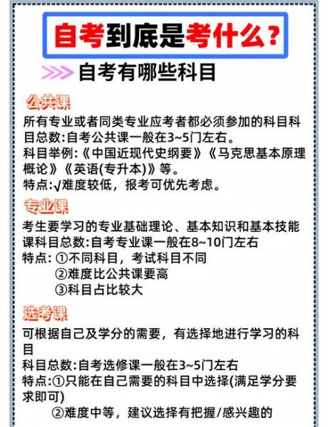 自学考试考什么好