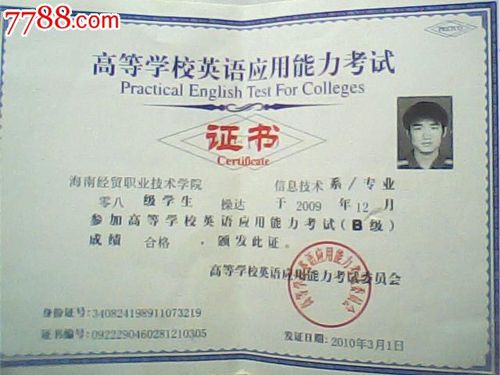 老师,你好。高职高专英语应用能力考试证书上没写几级,算什么水平呢