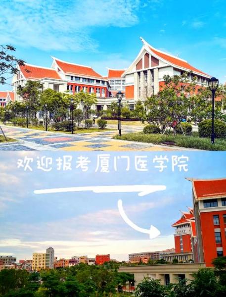 厦门大专了解的进来一下