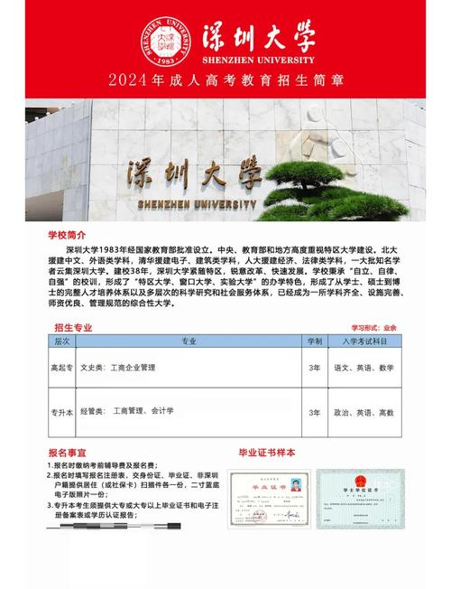 成考深圳大学有哪些专业可选?