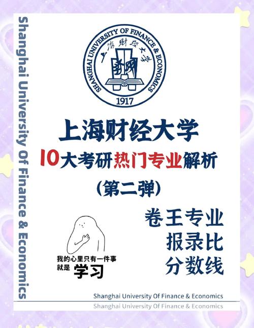 大专学小语种然后自考本科会计最后考上海财经大学研究生难吗_百度知...
